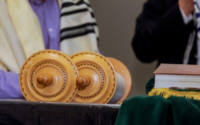 How Tikkun Olam Inspires Community Action and Global Healing